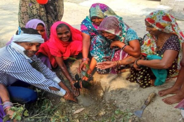 Plantation Drive for Environmental Conservation