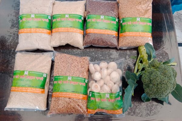 Organic Compost and Fertilizer Training